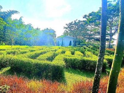 Family pool activities