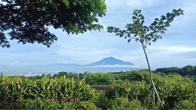 Mountain views from property