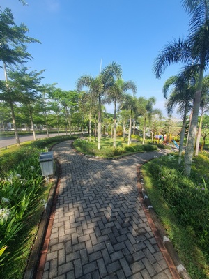 Sunset views from property